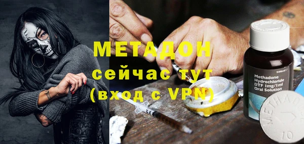 прущие грибы Белокуриха