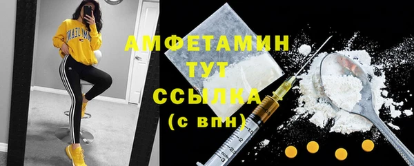 прущие грибы Белокуриха
