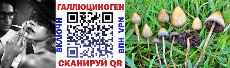 Псилоцибиновые грибы мухоморы  Бутурлиновка 